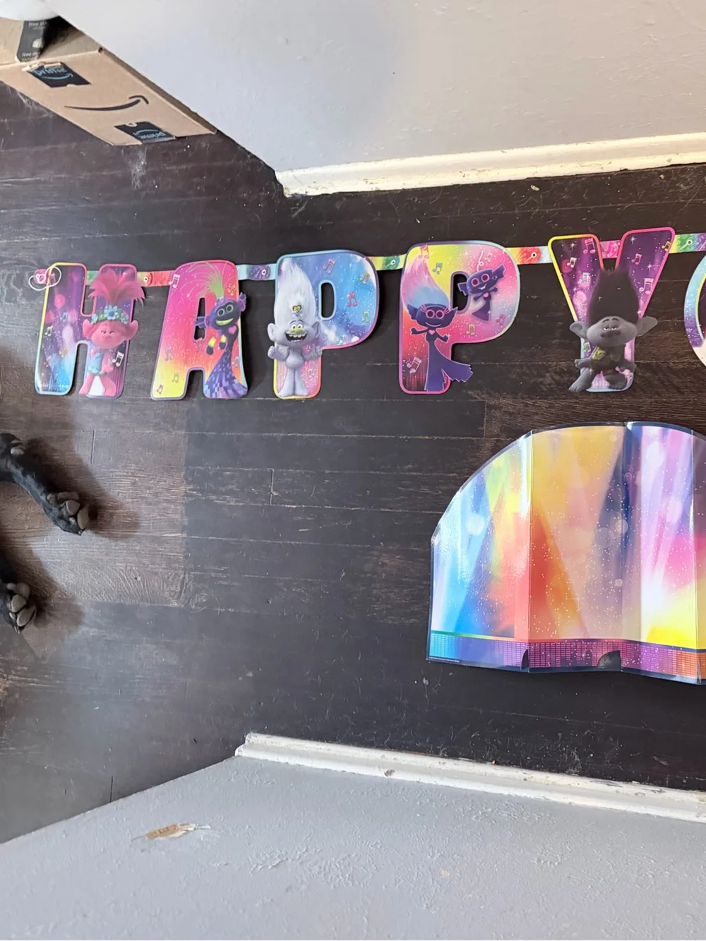 Trolls-Themed Birthday Party Banner - Official Character Decor